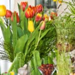 هفت سین ریشه دار ایرانی