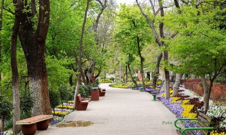 تجمع در پارک قیطریه تهران در اعتراض به طرح ساخت مسجد