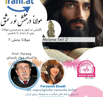 نگرشی بر شور و سرمستیِ مولانا بخش ۲ ژانویه ۲۰۲۵