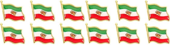 12Stück_Iran_Flagge-Löwe-Brosche