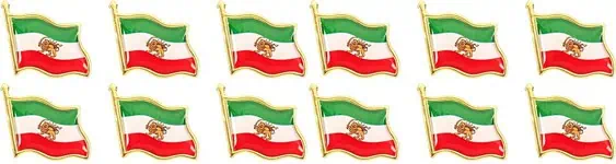12Stück_Iran_Flagge-Löwe-Brosche