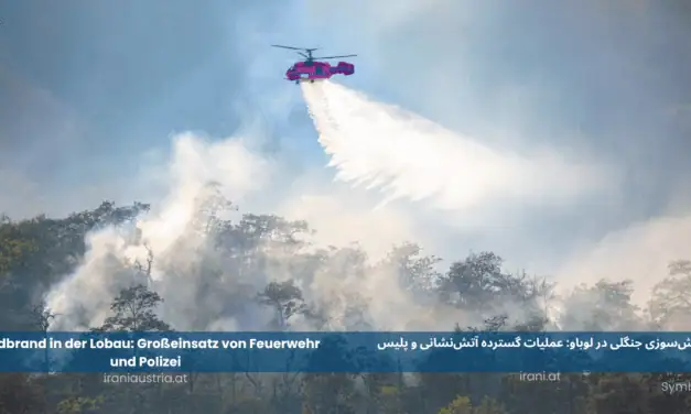 آتش‌سوزی جنگلی در لوباو: عملیات گسترده آتش‌نشانی و پلیس