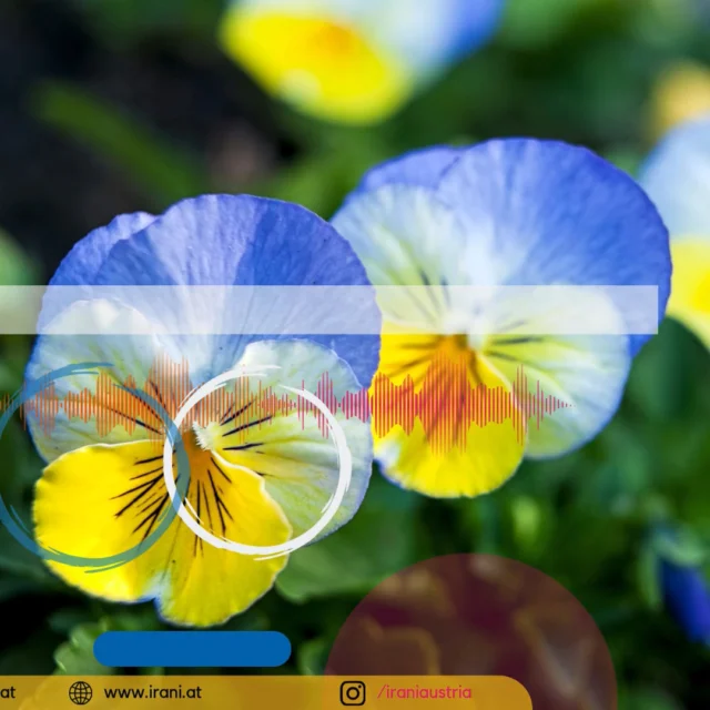 پابنده ایران و ایرانی
چهار هفته رویدادی اسفند پیشواز نوروز ۲۰۲۵
هفته باد، هفته آب، هفته خاک و هفته آتش
در سایت ایرانیان اتریش گوش بدهید...
#رادیو_ایرانی_اتریش
#سایت_ایرانیان_اتریش
irani.at
iraniaustria.at#
#ایران