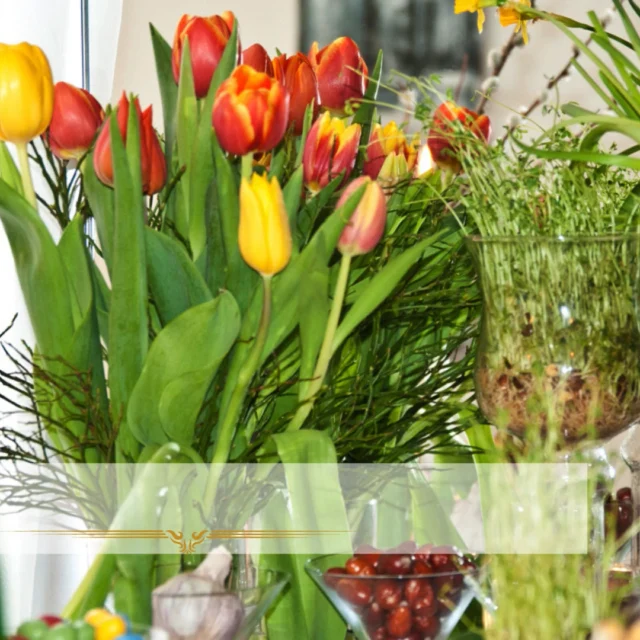 پابنده ایران و ایرانی
سبزه نماد تولد دوباره و زندگی نو و نشان دهنده پیروزی زندگی بر مرگ و آغازی تازه
در سایت ایرانیان اتریش بخوانید...
#سبزه_نوروز
#سایت_ایرانیان_اتریش
irani.at
iraniaustria.at#
#ایران